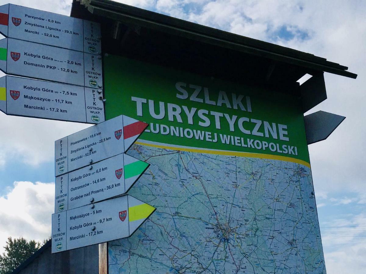 Ignacowka Pension Kobyla Góra Buitenkant foto